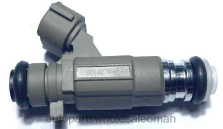 موردي قطع غيار السيارات - حاقن الوقود 16600-5l700 PZ6DX1876