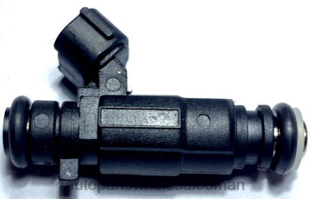 قطع غيار السيارات عمان - حاقن الوقود 16600ae060 PZ6DX1881