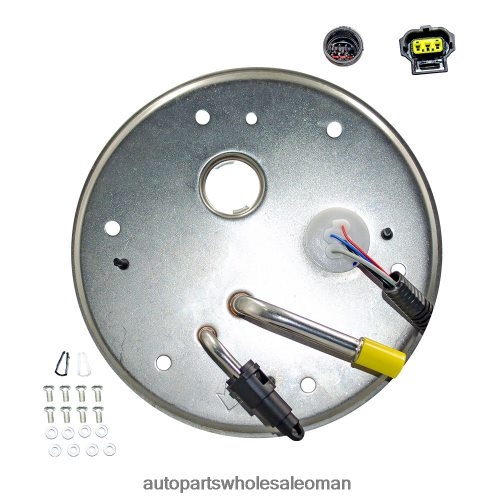قطع غيار السيارات سلطنة عمان - وحدة مضخة الوقود e2438m p76398m tu265 6c3z9h307ad لفورد 408280780